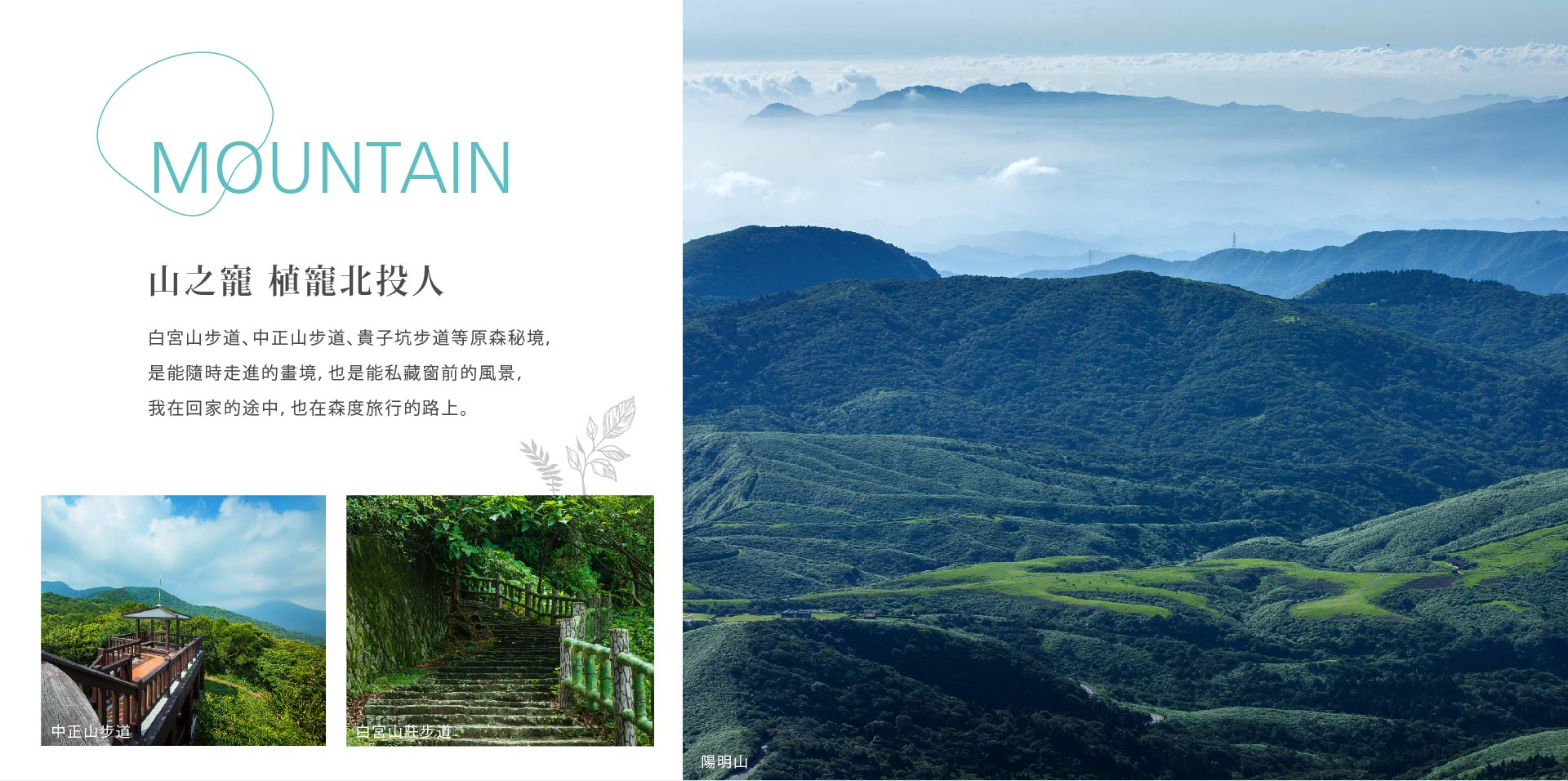 山之寵 植寵北投人｜白宮山步道、中正山步道、貴子坑步道等原森秘境，是能隨時走進的畫境，也是能私藏窗前的風景，我在回家的途中，也在森度旅行的路上。