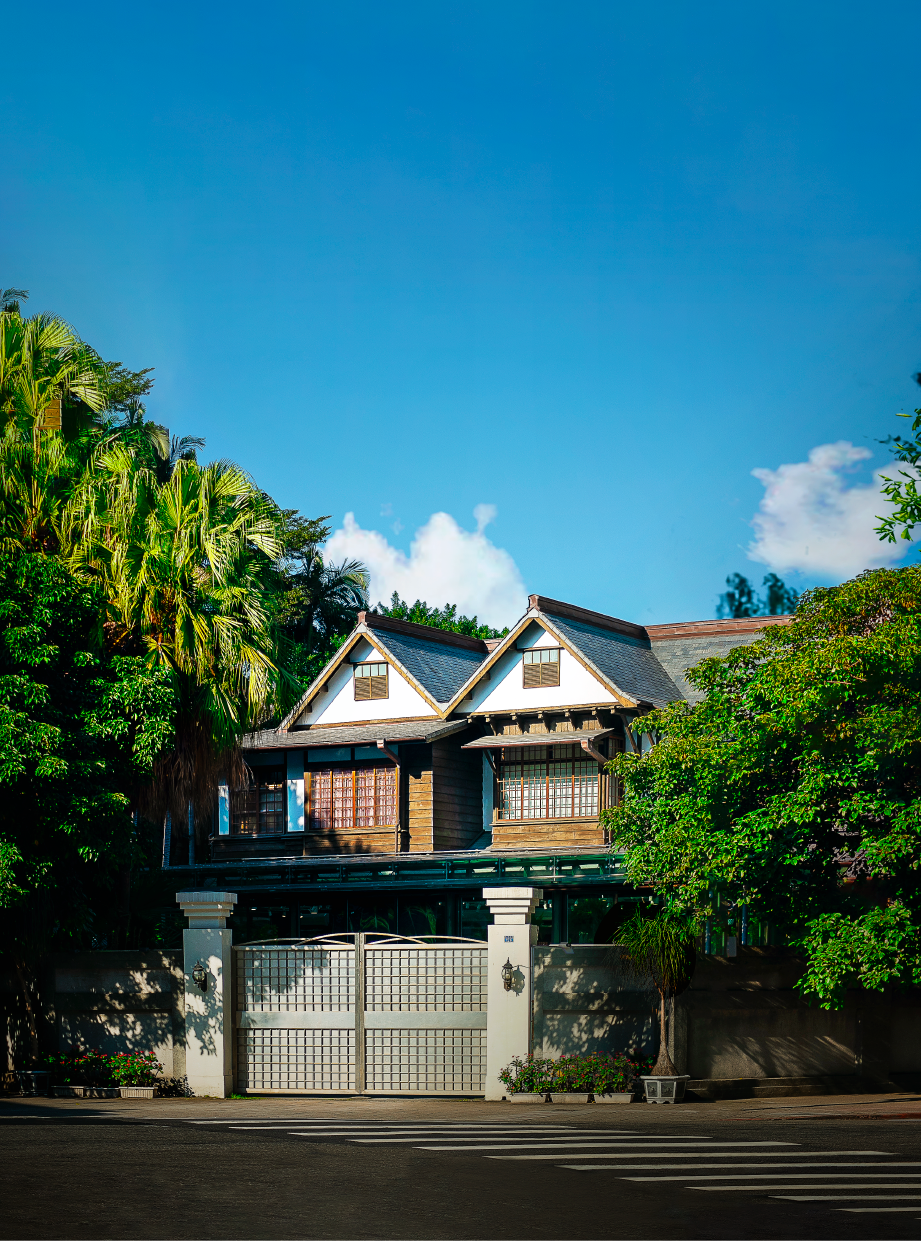 炎洲晴|SUNSHINE IN BLOOM